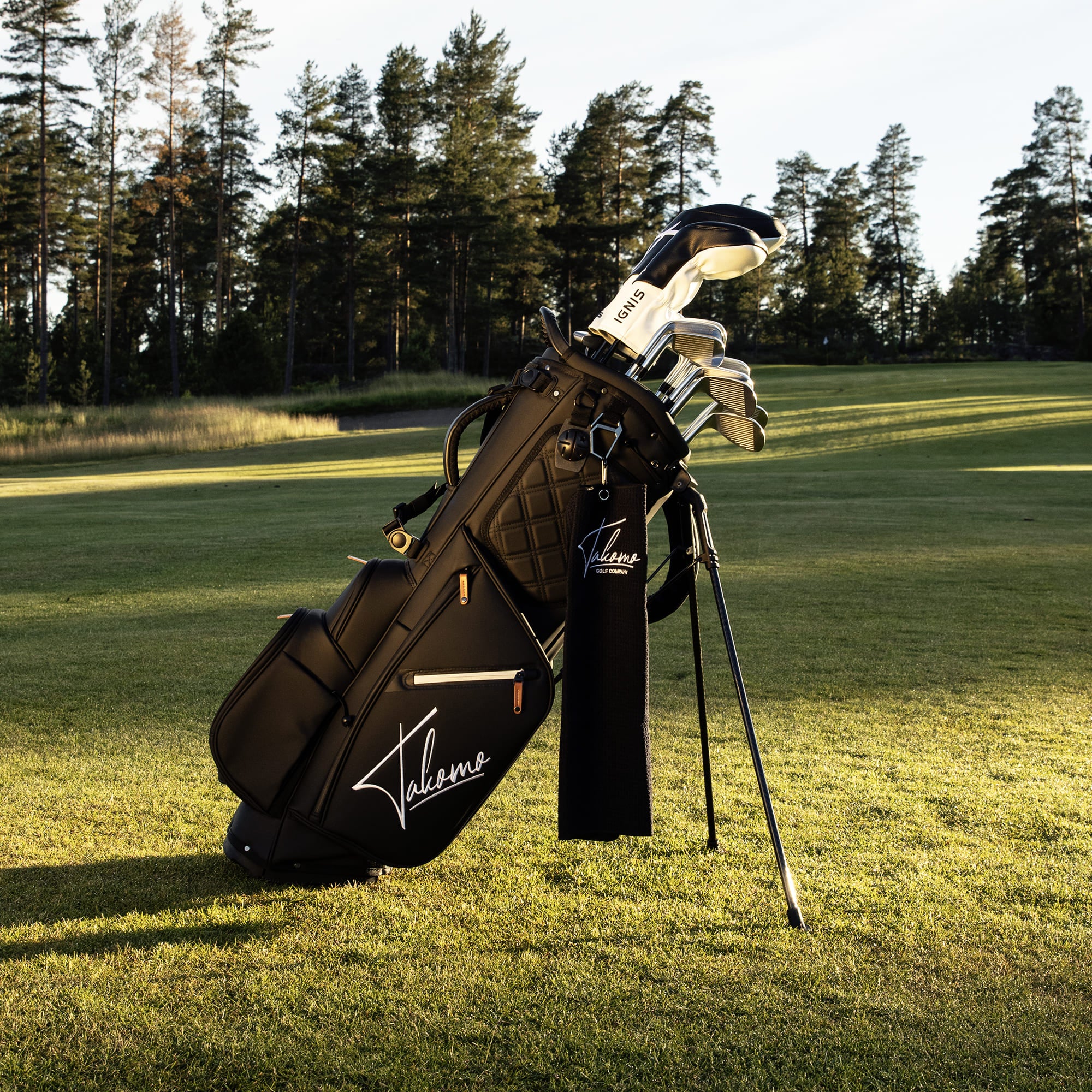 Golf deals stand bag