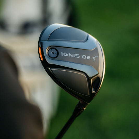 photo of the Ignis D2 Driver