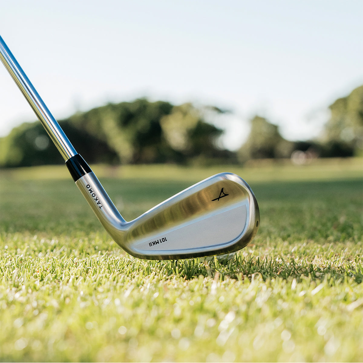 Golf club on grass with a blurred green background