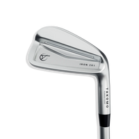 Iron 201 Club Heads only