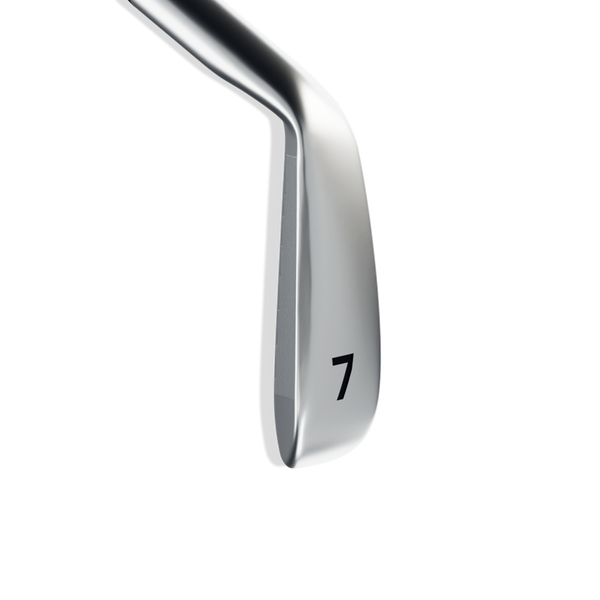 Takomo Golf 301 CB Irons