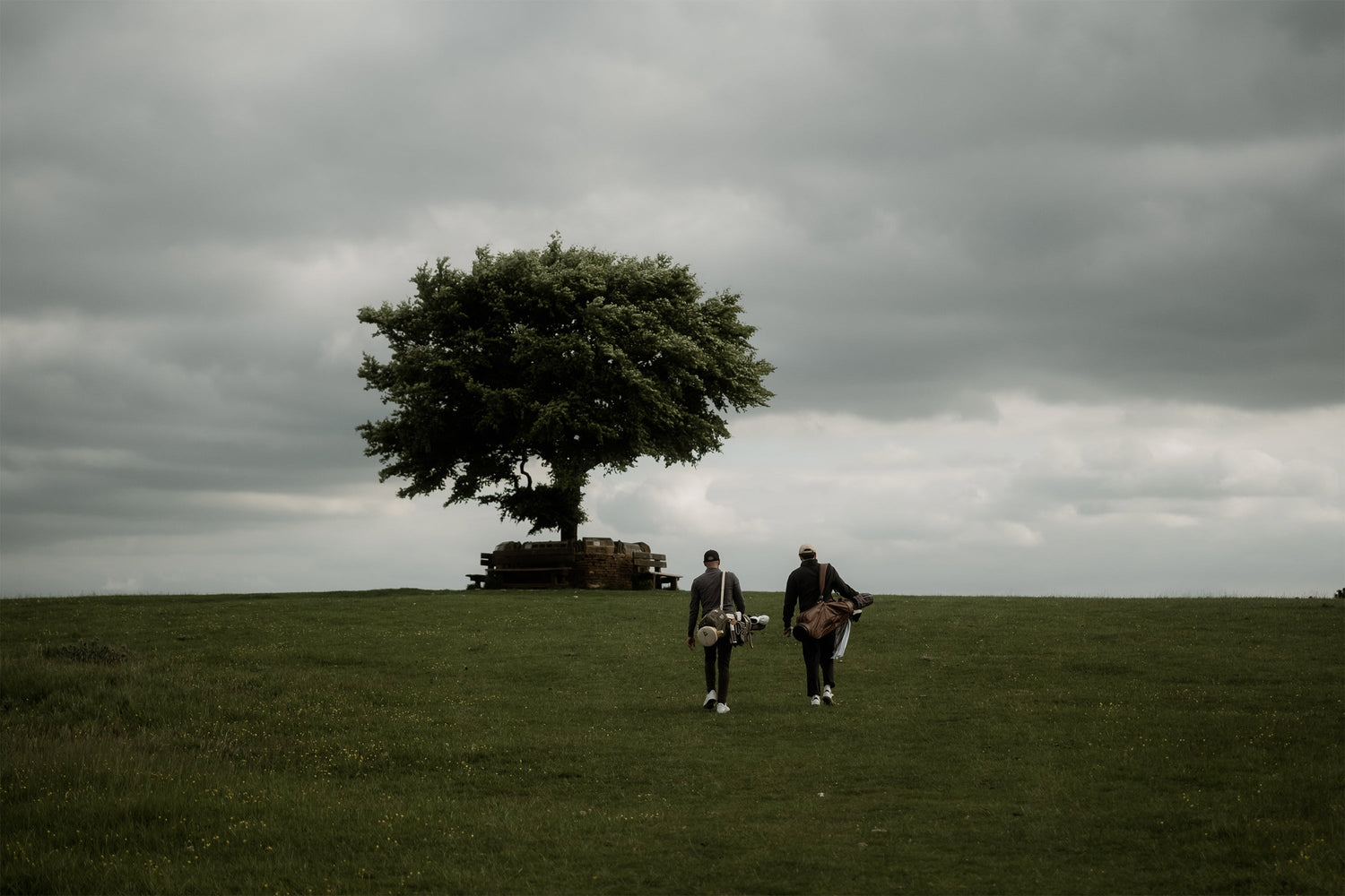 Two golfers walking under a large tree on a cloudy day