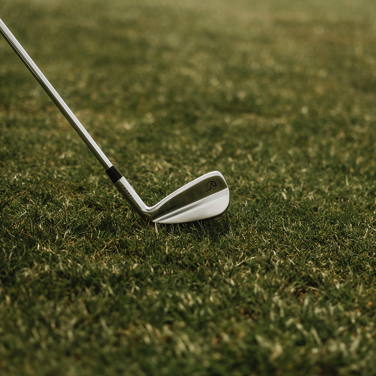 Iron 101 stiff flex left handed