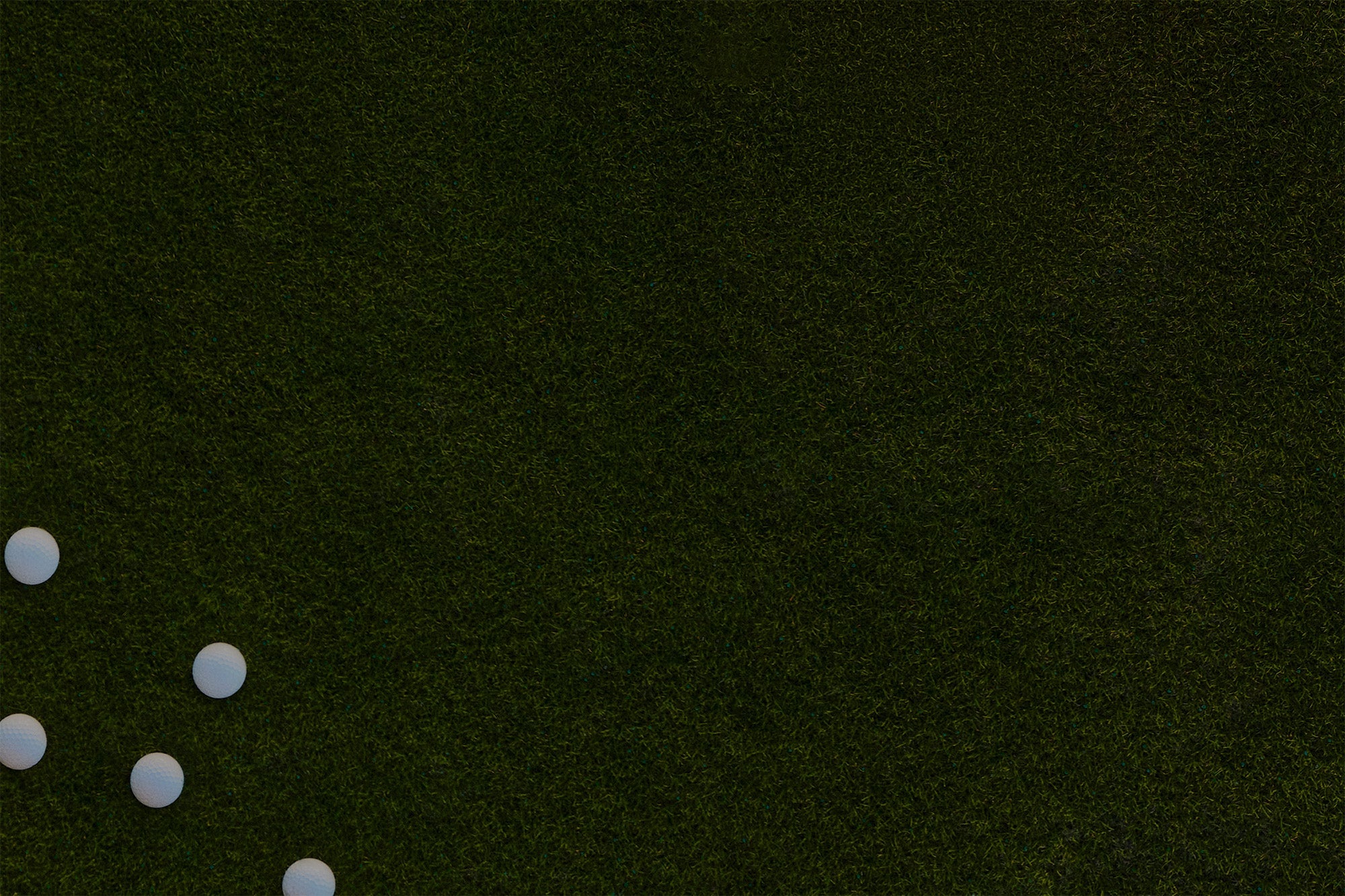 Takomo Golf