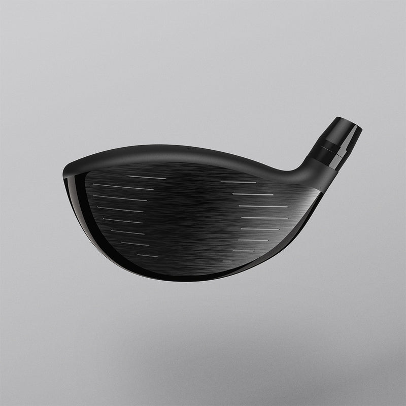Ignis D1 Driver